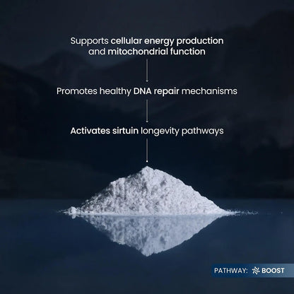 NMN Pure Powder